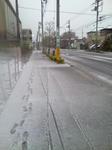 100417_053812.jpg