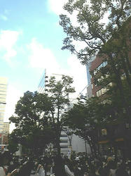 b9981148.jpg