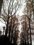 中央公園