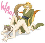 tenko3.jpg