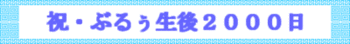 ぶるぅ、生後2000日まで、あと１日！