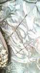 20090411103455.jpg