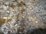 26_200904281910571.jpg