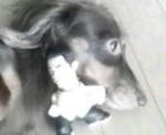 20090912092544.jpg