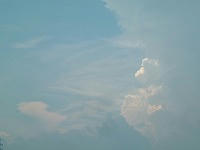 20070819.jpg