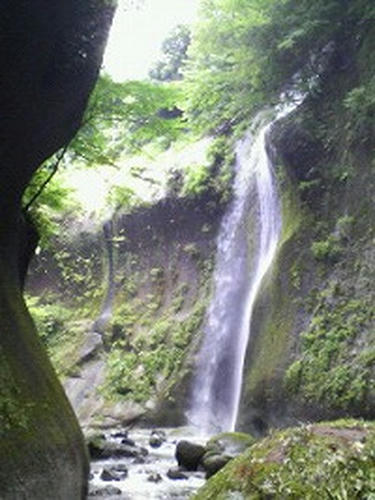 20070805.jpg