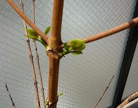 20080413.jpg