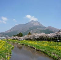 20080414_1.jpg