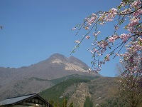 20080414_2.jpg
