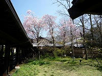 20080414_3.jpg