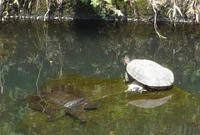 20080430_l.JPG