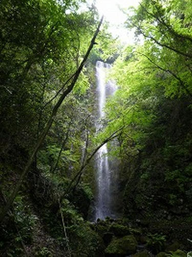 20080502_5.jpg