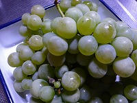 20080927.jpg