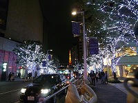 20081108.jpg