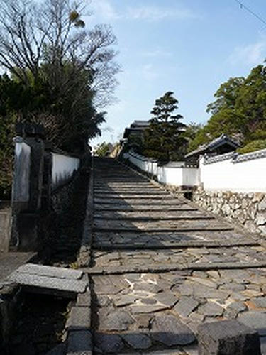 20090207_1.jpg