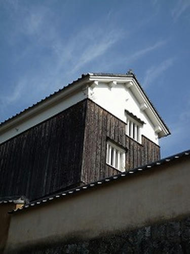 20090207_3.jpg