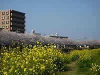 20090402_1.jpg
