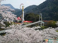 20090405.jpg
