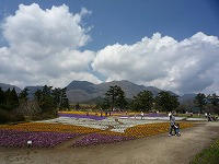 20090411_2.jpg