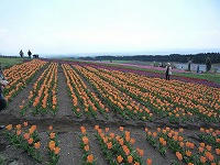 20090411_11.jpg