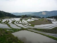 20090503.jpg