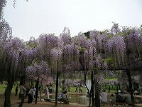20090504_1.jpg