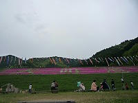 20090504_2.jpg