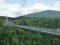 20090507.jpg