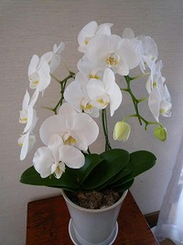 20090602.jpg