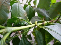 20090609_1.jpg