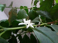 20090609_2.jpg