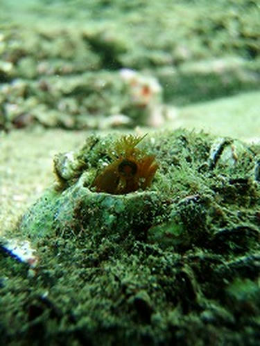 20090822_2.jpg