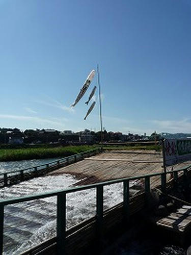 20090920_2.jpg