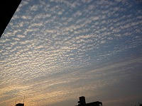 20091014.jpg