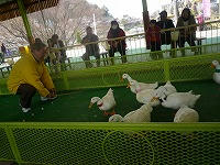 20100327_1.jpg