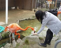 20100327_2.jpg