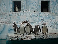 20100327_4.jpg