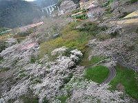 20100327_5.jpg