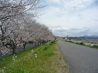 20100331.jpg