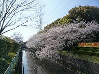 20100403.jpg