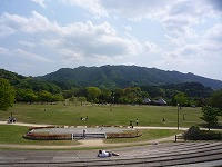 20100501.jpg