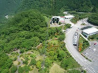 20100619_1.jpg