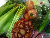 20100924.jpg