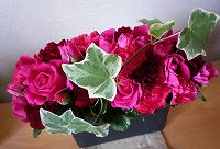 20101224.jpg