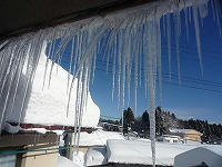 20110102_3.jpg