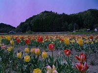 20110420_2.jpg