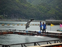 20110430_2.jpg