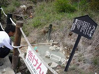 20110516.jpg