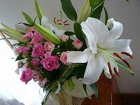 20111009_2.jpg