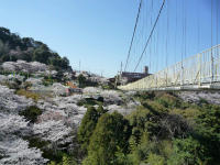 20120407_1.jpg